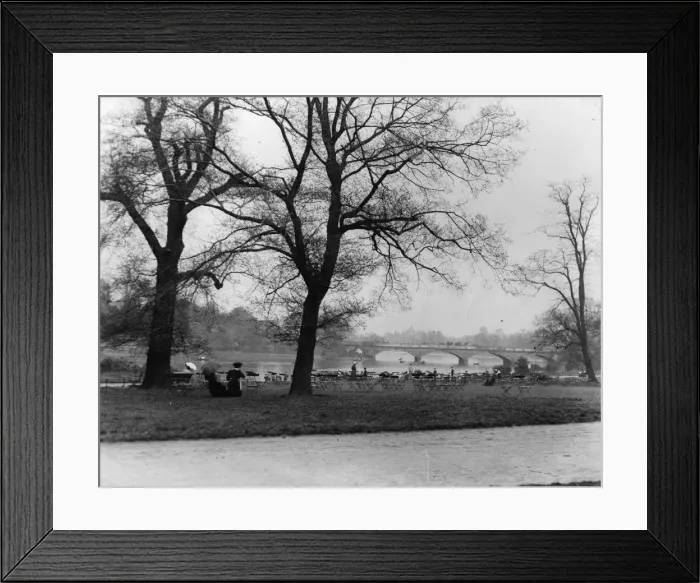Framed Print : Serpentine Framed Print : Serpentine