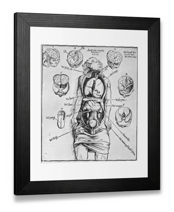Framed Print : Anatomia Corporis Humani Framed Print : Anatomia Corporis Humani