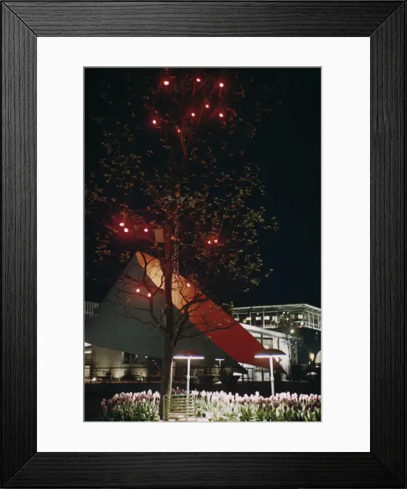 Framed Print : Festival Lights Framed Print : Festival Lights