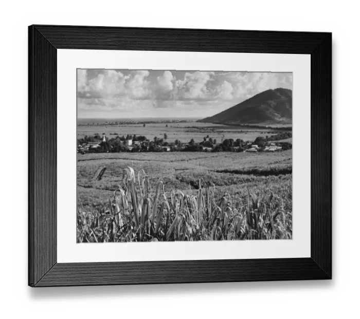 Framed Print : Maunabo. A view of the town of Maunabo, surrounded by fields of sugar cane