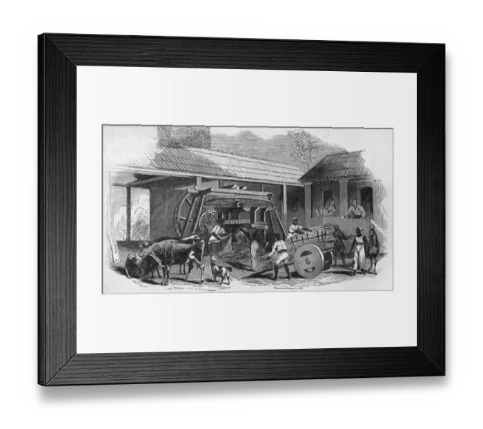 Framed Print : Brazilian Sugar Mill Framed Print : Brazilian Sugar Mill