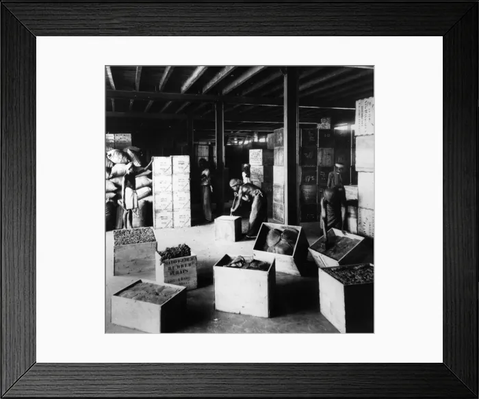 Framed Print : Rubber Packing