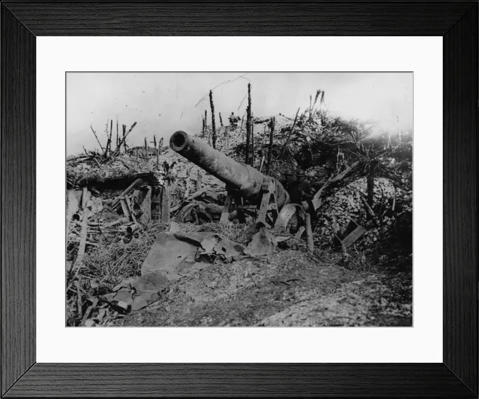 Framed Print : Abandoned Gun
