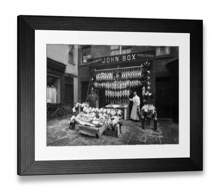 Framed Print : Poultry And Fish Framed Print : Poultry And Fish
