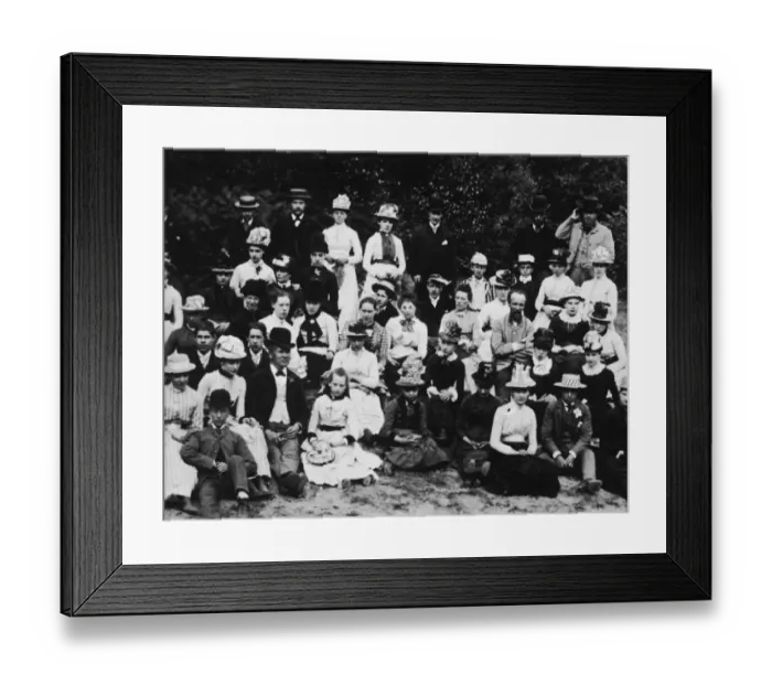 Framed Print : Burnham Beeches Framed Print : Burnham Beeches