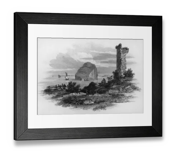 Framed Print : The Bass Rock