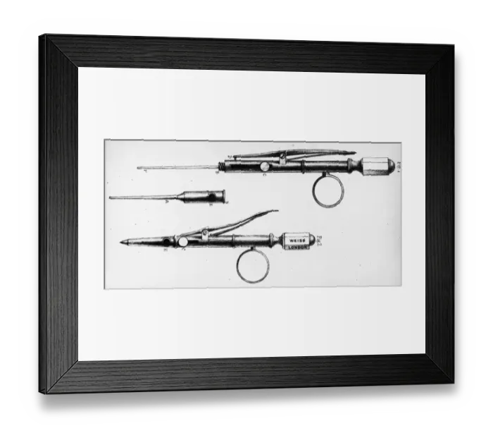 Framed Print : Rynds Needle Framed Print : Rynds Needle