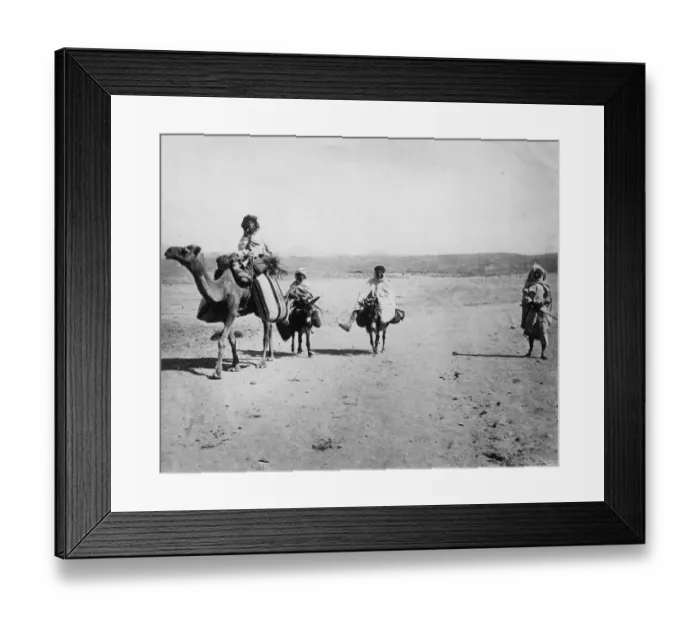 Framed Print : Desert Transport Framed Print : Desert Transport