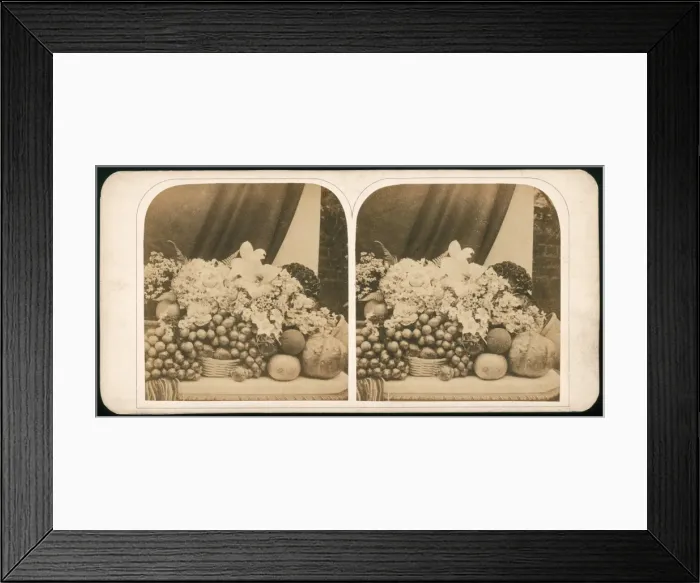 Framed Print : Stereoscopic Still Life Framed Print : Stereoscopic Still Life