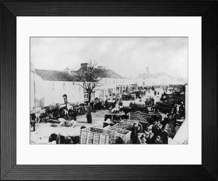 Framed Print : Irish Pig Fair Framed Print : Irish Pig Fair