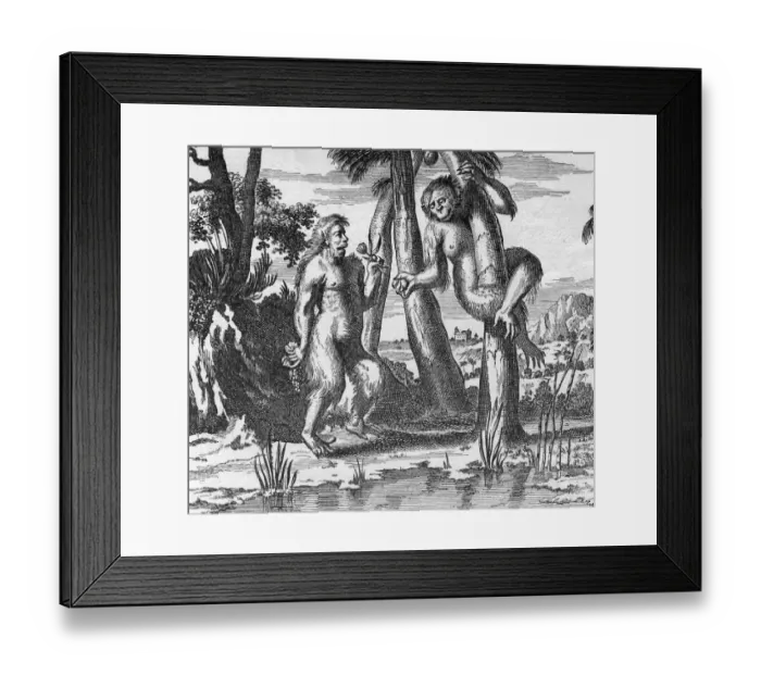 Framed Print : Simian Adam And Eve Framed Print : Simian Adam And Eve