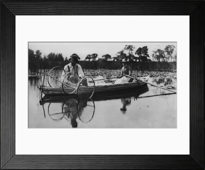 Framed Print : On The Broads