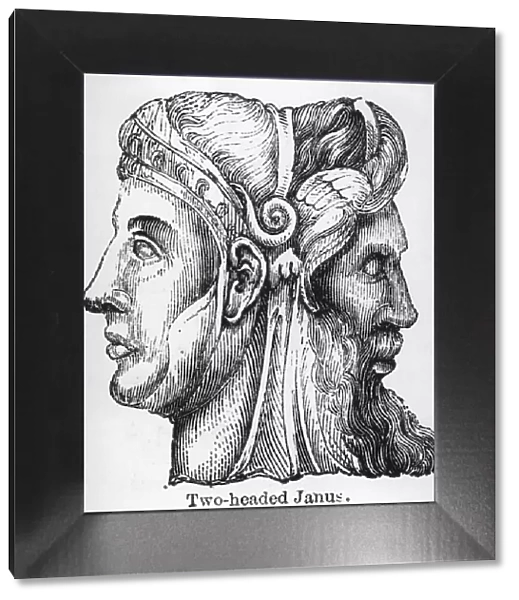 Two-headed Janus