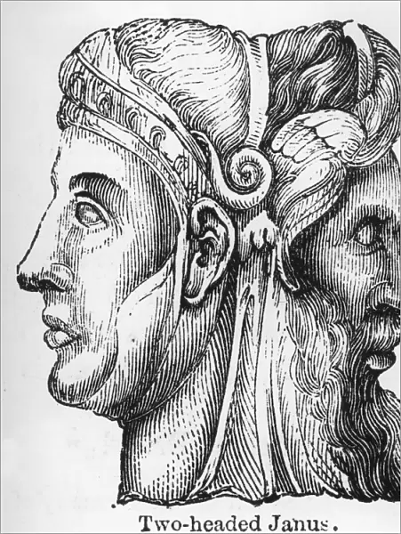 Two-headed Janus