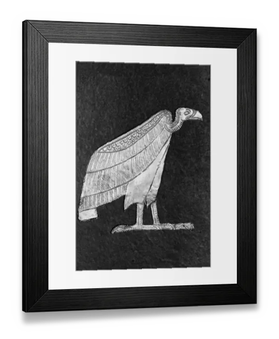 Framed Print : Gold Vulture Amulet From King Tuts Tomb Framed Print : Gold Vulture Amulet From King Tuts Tomb
