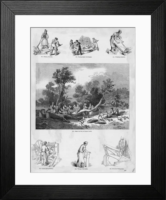 Framed Print : Tanning Industry Framed Print : Tanning Industry