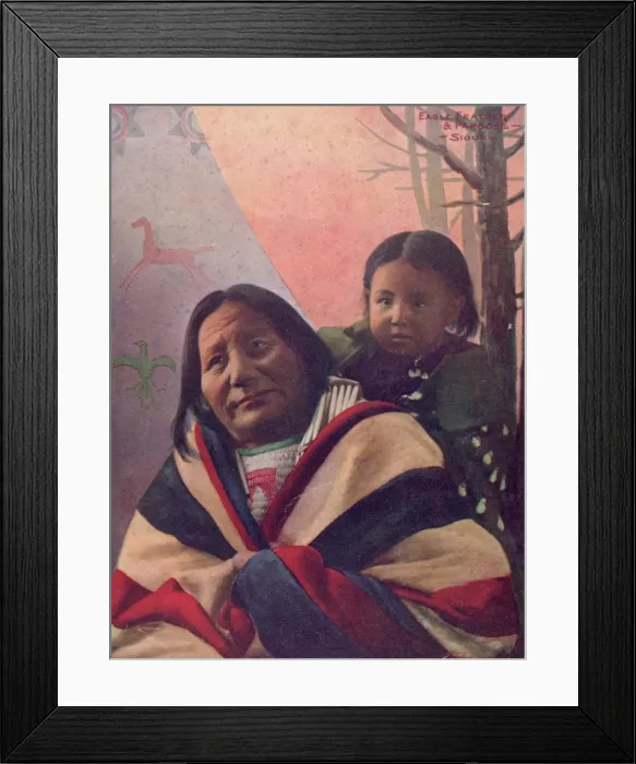 Framed Print : Eagle Feather Framed Print : Eagle Feather