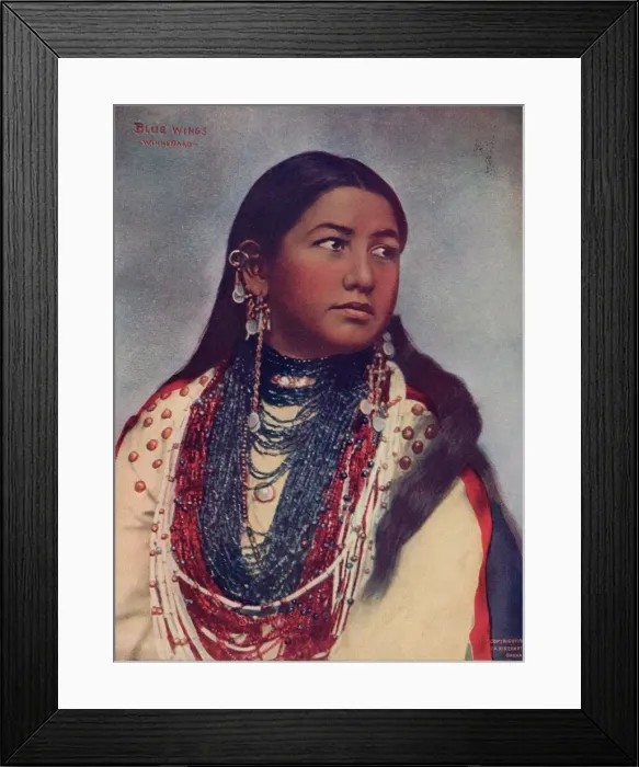 Framed Print : Blue Wings Framed Print : Blue Wings