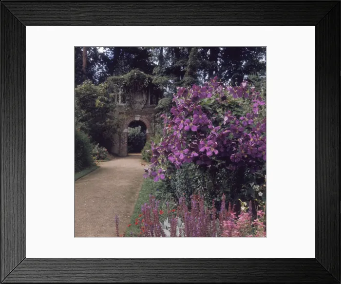 Framed Print : Old Garden Framed Print : Old Garden