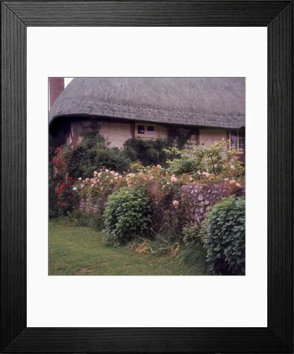 Framed Print : Hampshire Cottage Framed Print : Hampshire Cottage