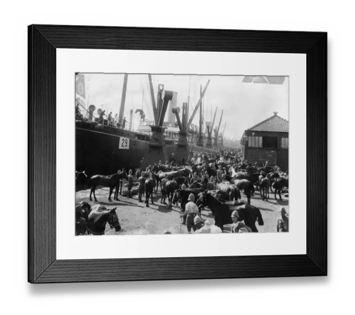Framed Print : Cavalry Embark Framed Print : Cavalry Embark
