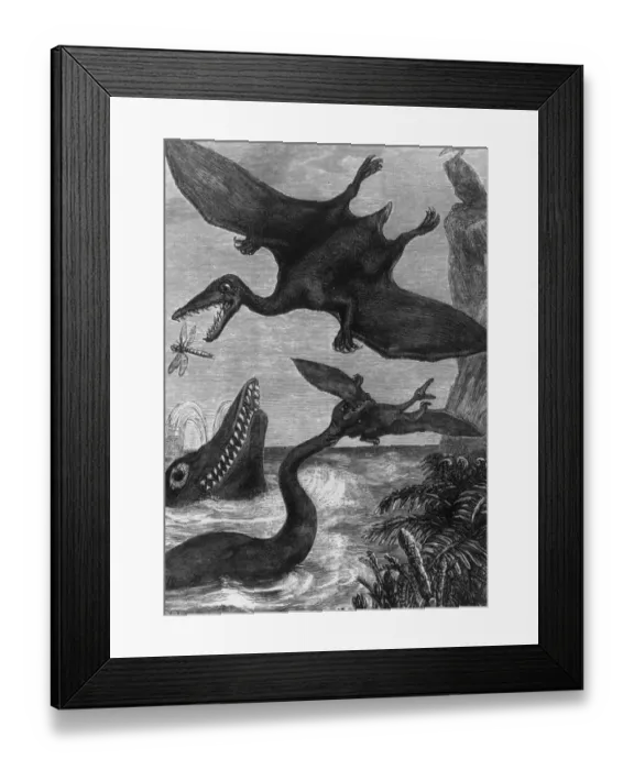Framed Print : A Pterodactyl Framed Print : A Pterodactyl