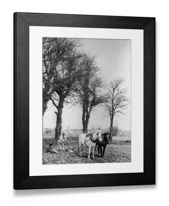 Framed Print : A Breezy Day Framed Print : A Breezy Day
