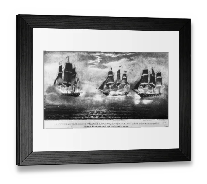 Framed Print : The Constitution Framed Print : The Constitution