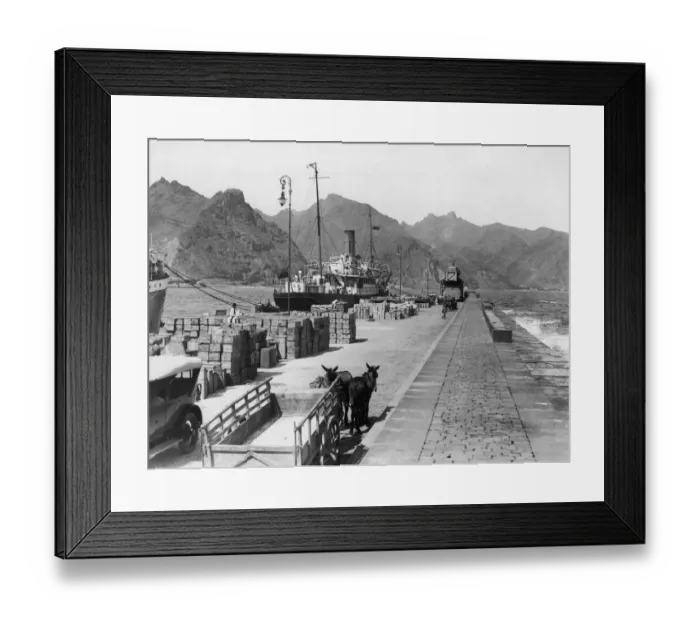 Framed Print : Santa Cruz Quay