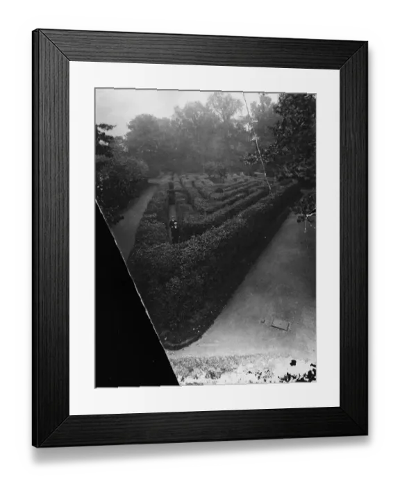Framed Print : Hampton Court Maze Framed Print : Hampton Court Maze
