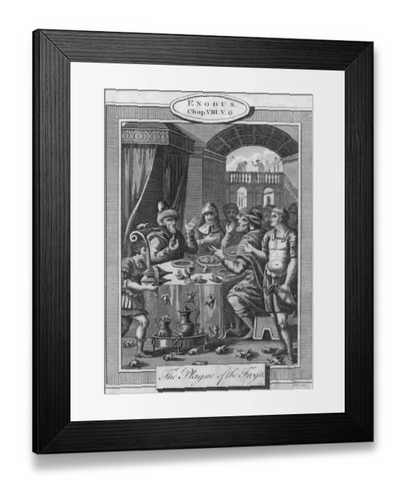 Framed Print : Biblical Plague Framed Print : Biblical Plague