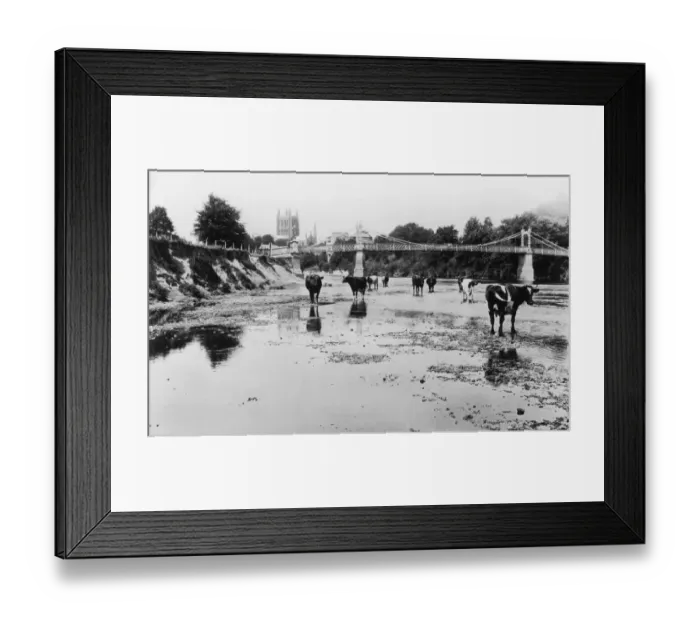 Framed Print : Hereford suspension bridge over the River Wye Framed Print : Hereford suspension bridge over the River Wye