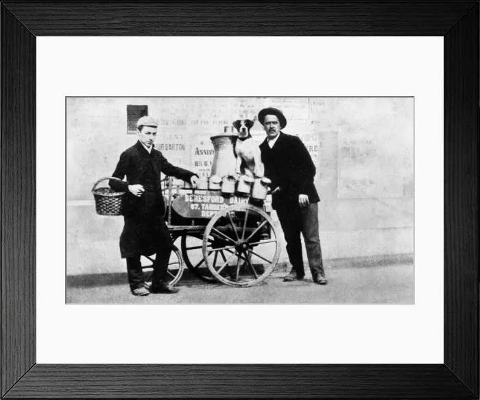 Framed Print : Milkman. 9th February 1889: Milkman with his float, dog and boy Framed Print : Milkman. 9th February 1889: Milkman with his float, dog and boy