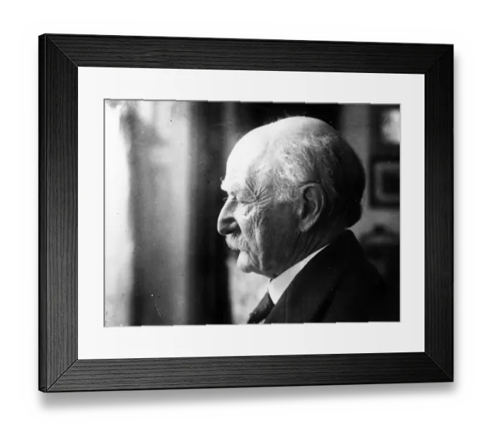 Framed Print : Thomas Hardy Framed Print : Thomas Hardy