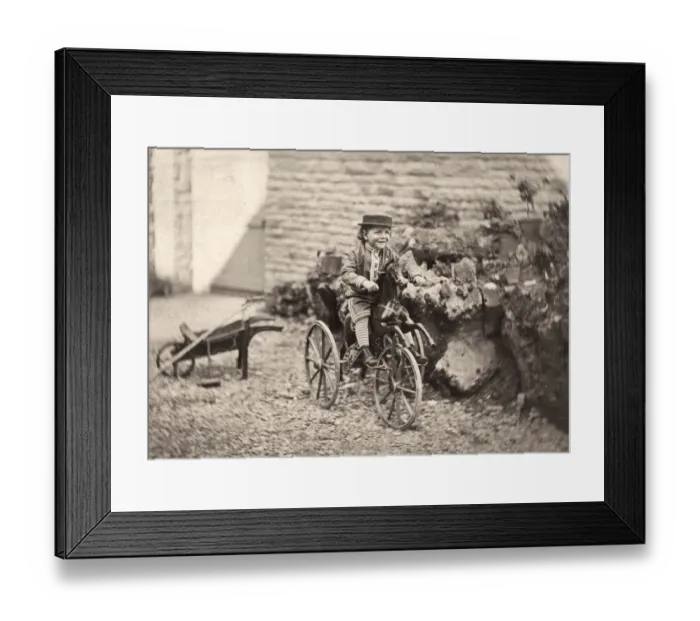 Framed Print : Hobby Horse Framed Print : Hobby Horse
