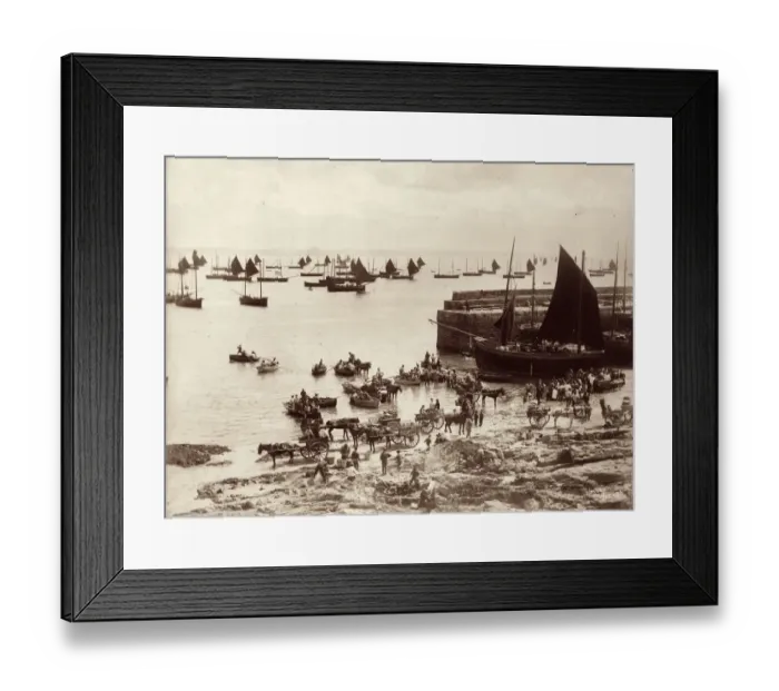 Framed Print : Newlyn Fishery Framed Print : Newlyn Fishery