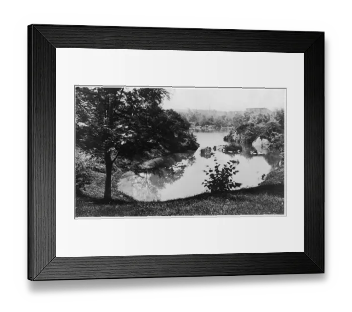 Framed Print : Central Park Framed Print : Central Park