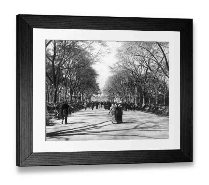 Framed Print : Central Park Stroll Framed Print : Central Park Stroll