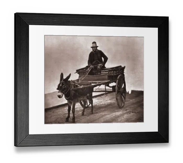 Framed Print : Black Jack