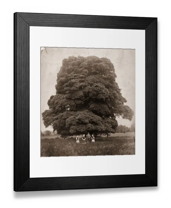 Framed Print : Edgeworthstown Framed Print : Edgeworthstown