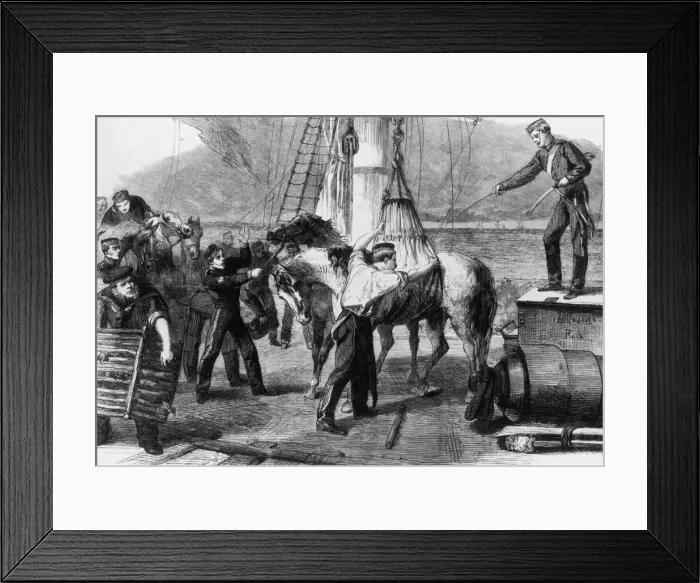 Framed Print : Horse On Deck Framed Print : Horse On Deck