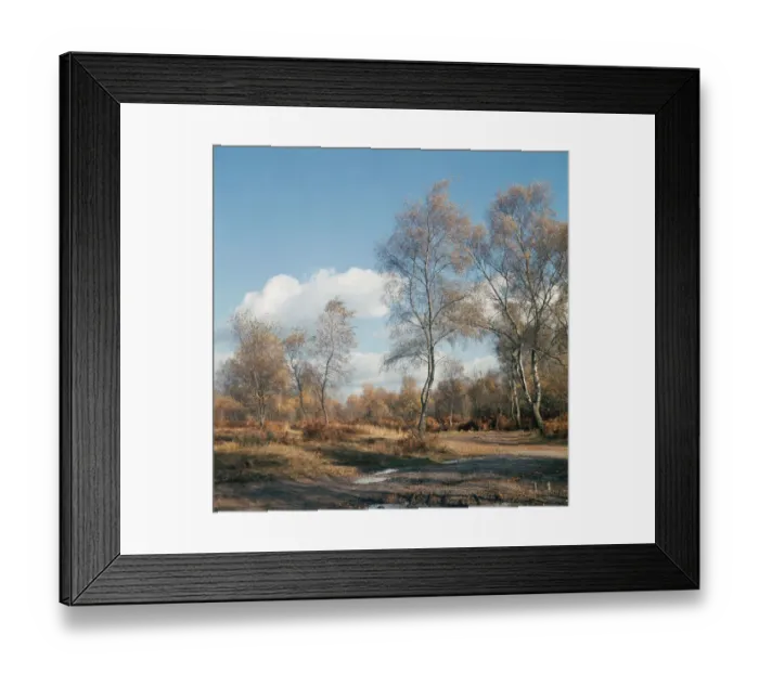 Framed Print : Autumn in Ashdown Forest, East Sussex, circa 1950 Framed Print : Autumn in Ashdown Forest, East Sussex, circa 1950