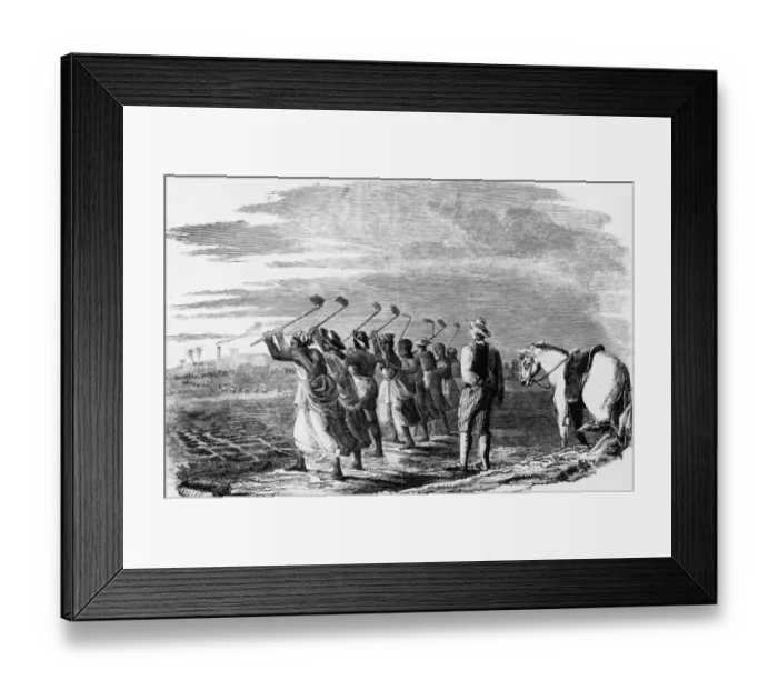 Framed Print : Cane Holeing Framed Print : Cane Holeing
