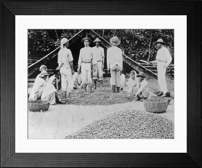 Framed Print : Dancing On Cocoa Framed Print : Dancing On Cocoa
