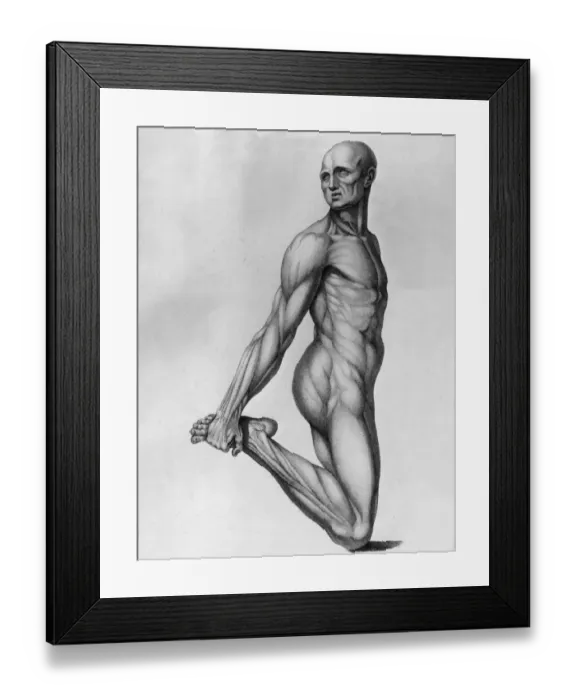 Framed Print : Mr Muscles Framed Print : Mr Muscles