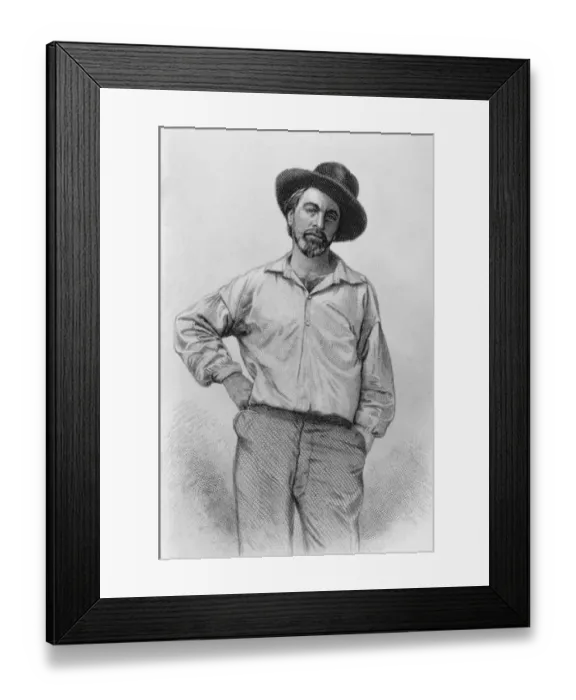 Framed Print : Flamboyant Whitman Framed Print : Flamboyant Whitman