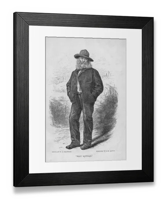 Framed Print : Walt Whitman Framed Print : Walt Whitman
