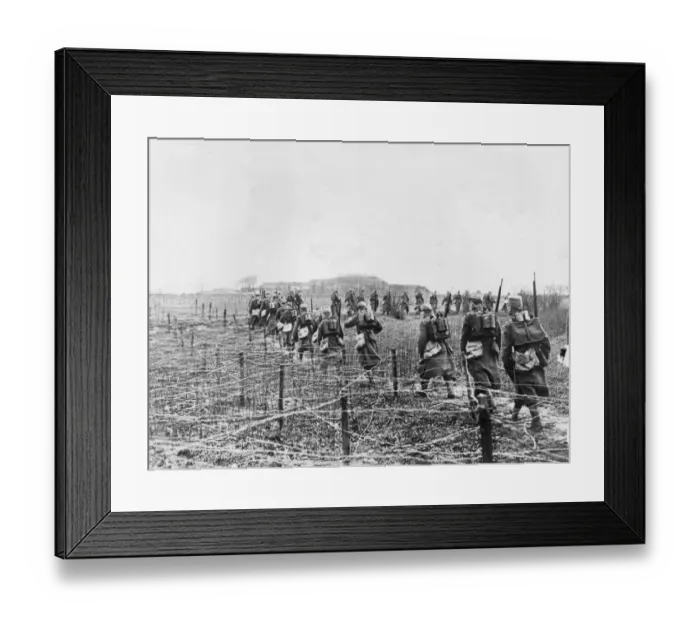 Framed Print : Barbed Wire