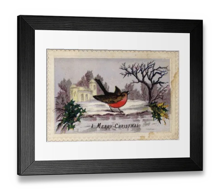 Framed Print : Robin Redbreast Framed Print : Robin Redbreast