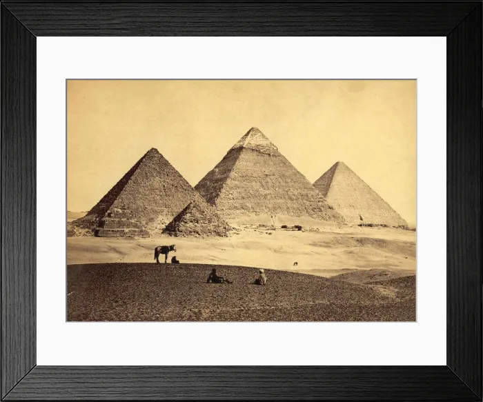 Framed Print : Gazing At Giza Framed Print : Gazing At Giza